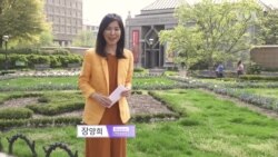 [VOA 글로벌 리포트] ‘내전’으로 치닫는 미얀마 사태 