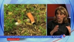 تا ۱۳ سال آینده میزان مرگ بخاطر سیگار به ۸ میلیون در سال می رسد