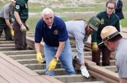 U.S. Vice President Mike Pence helps National Park Service workers lay planks along a boardwalk near Old Faithful Geyser in Yellowstone National Park in Wyoming, June 13, 2019.
