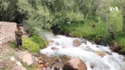 طبیعت زیبای بامیان در فصل تابستان