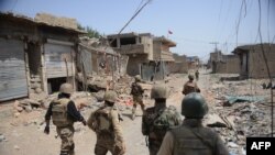 Pakistan Security forces