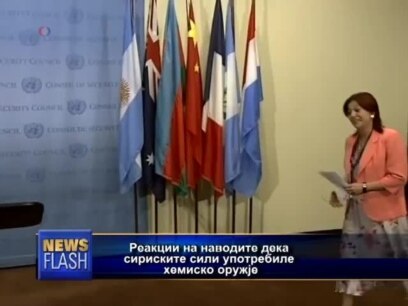 Светот реагира на сириската ситуација