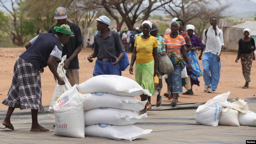 FILE - Zimbabweans collect food aid from a distribution point in Mutawatawa, about 220km northeast of the capital Harare, November 25, 2013. 