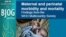 World Health Organization study on maternal deaths 