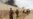 Pakistan, Afghanistan Return to War of Words