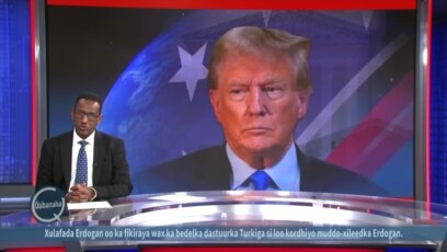 Taariikh nololeedka musharax Donald Trump 