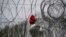 FILE - A punctured ball hangs on barbed wire in the heavily guarded camp at Serbia's border with Hungary, near the Horgos border crossing, Serbia, Sept. 19, 2017. 
