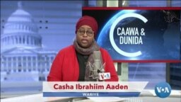 Caawa iyo Dunida