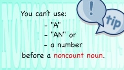 Everyday Grammar: Noncount Nouns (셀수없는 명사)