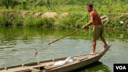 A fisherman catches a fish in Peamror district, Prey Veng province, Cambodia, on July 22, 2020. (Aun Chhengpor/VOA Khmer)