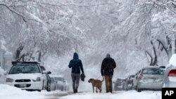 A couple walks their dog beneath snow-covered trees during a nor'easter, March 8, 2018, in Portland, Maine.
