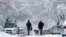 A couple walks their dog beneath snow-covered trees during a nor'easter, March 8, 2018, in Portland, Maine.