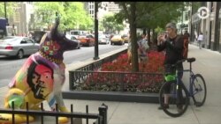 Настоящее Время. Америка – 20 ноября 2017