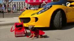 Настоящее Время. Америка – 30 января 2018