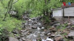 د سوات د سکول ماشومانو پیربابا ته په پښو مزل وکړو