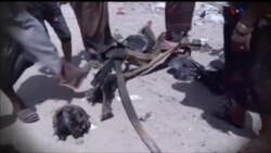 اخبار شبانگاهی