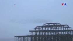 Dünyaya Baxış 12 Sentyabr 2014