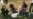 16x9 Image