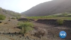 Seca em Cabo Verde: Agricultores explicam como estar preparado