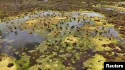 Una vista de dron muestra la reserva forestal de la laguna de Guatavita, ubicada en un páramo que regula el ciclo del agua al absorber y liberar lentamente las lluvias, en Guatavita, Colombia, el 30 de septiembre de 2024.