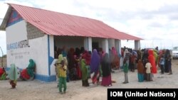 IOM delivers emergency and essential health services to Bulla Gaduud and Gobweyn, areas recently liberated by the government in Lower Juba region of south-eastern Somalia. 