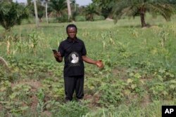 FILE—Cyril Fianyo, a farmer and a beneficiary under the Uniti Networks project, holds the phone he uses to check the weather and learn about agricultural practices at his farm in Atabu, Hohoe, in Ghana's Volta region, April 18, 2024.