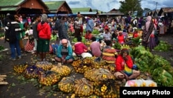 Pasar Tradisional di Wamena, Papua (Foto: dok).