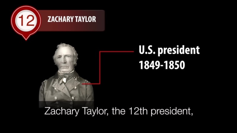 Zachary Taylor: Brief