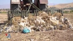 نایلۆن؛ مەرگی هێواشی خاک و هەڕەشەیەک بۆ کشتوکاڵ
