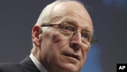 Former U.S. Vice President Dick Cheney (File Photo)