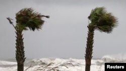 Las palmeras se mecen con el viento mientras se acerca el huracán Sally en Gulf Shores, Alabama, EE.UU., 15 de septiembre de 2020.