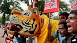 Para pemrotes Bangladesh memegang plakat dan patung harimau menentang rencana pembangunan pembangkit listrik Rampal di dekat monumen Shaheed Minar di Dhaka, Bangladesh, 20 Agustus, 2016. (AP Photo/A.M.Ahad)