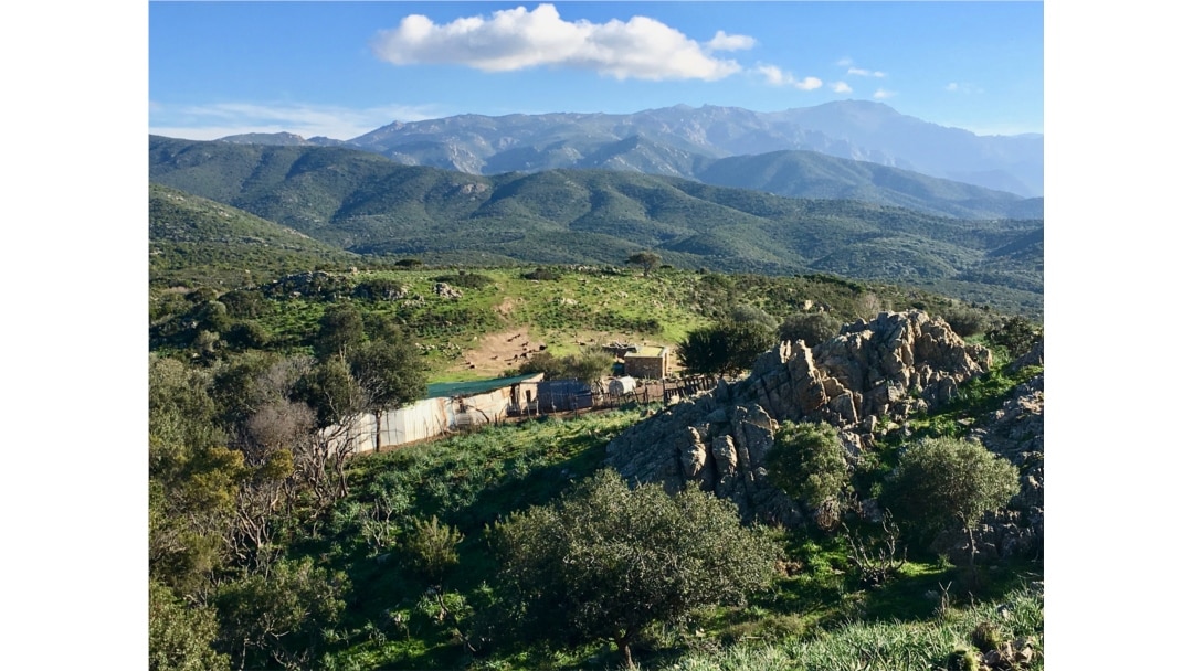 A goat ranch in the Agriate region of northern Corsica. (Lisa Bryant/VOA)