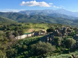 A goat ranch in the Agriate region of northern Corsica. (Lisa Bryant/VOA)