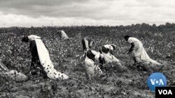 Four hundred years since the first enslaved Africans arrived in Virginia, slavery remains a dark chapter in American history.