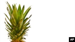 Auto-dijelovi budućnosti?