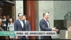 美国观察 2019年8月1日