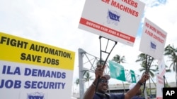 Dockworkers from Port Miami display signs at a picket line, Oct. 3, 2024, in Miami.