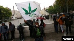 Seorang pria mengibarkan sebuah bendera dalam demonstrasi menentang perdagangan gelap obat-obatan dan mendukung upaya melegalkan ganja yang ditanam sendiri untuk keperluan medis dan rekreasi di Santiago, Chile, 20April 2017.