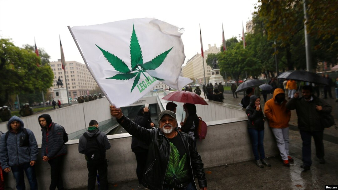 Seorang pria melambaikan bendera dalam sebuah rapat akbat menentang perdagangan narkoba untuk mendukung legalisasi budidaya marijuana pribadi untuk tujuan pengobatan dan rekreasi di Santiago, Chile tanggal 20 April 2017 (foto: REUTERS/Ivan Alvarado)
