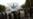 Apotik di Chile Siap Jual Marijuana untuk Tujuan Pengobatan