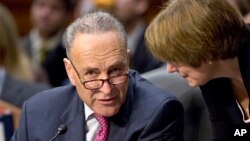 El senador demócrata Chuck Schumer es uno de los que suscriben la petición. 