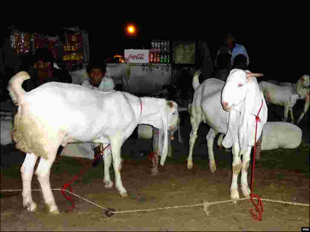 من مانی قیمتوں کے باعث شہری پریشان
