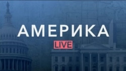 «Америка LIVE» – 14 октября