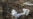 As Ebola Caseload Declines, Focus Shifts