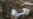 Next in Ebola Plan: UN Teams to Study Lines of Transmission