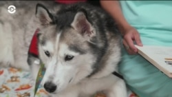 Настоящее Время. Америка – 2 июля 2019