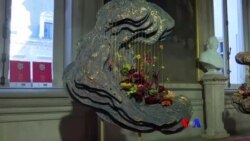 Brussels ကပန်းအလှပြပွဲ