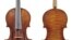 Violin Theft Milwaukee