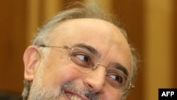 Руководитель иранского атомного ведомства Али Акбар Салехи (архивное фото)